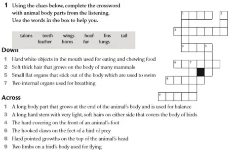 11g Animal vocabulary