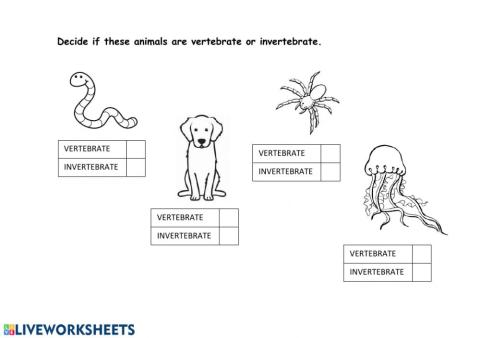 Vertebrates and invertebrates