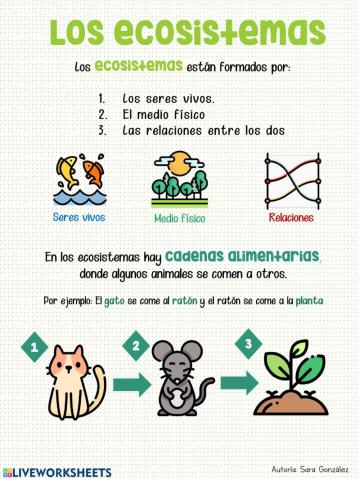 Las redes alimentarias