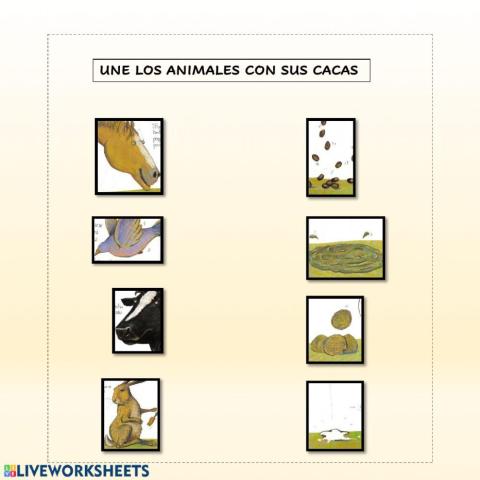 Une con flechas. Cuento