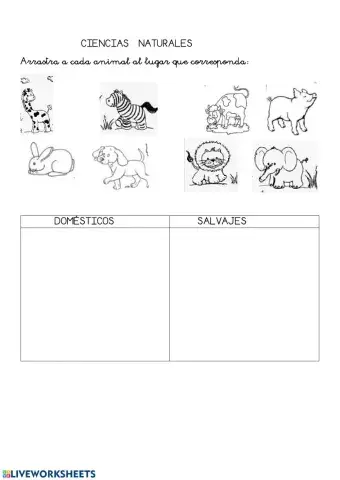 Animales domésticos y salvajes