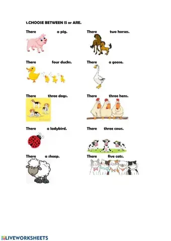 There is there are animals