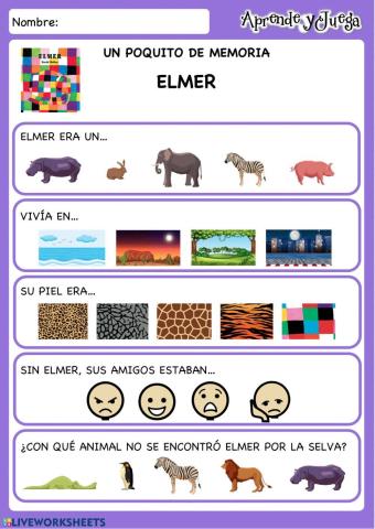 Cuestionario Elmer