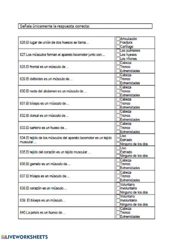 Huesos, músculos y órganos