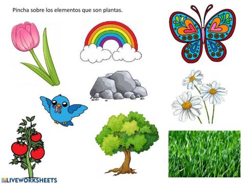 ¿Cuáles son plantas?