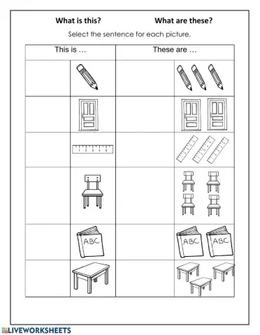 What is it?-What are these?