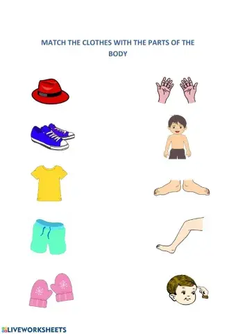 Clothes and body parts