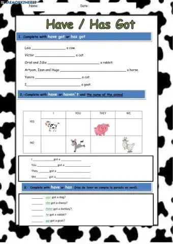 Have-has got animals