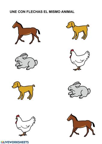 Asociación de animales iguales