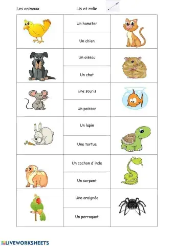 Les animaux domestiques lecture