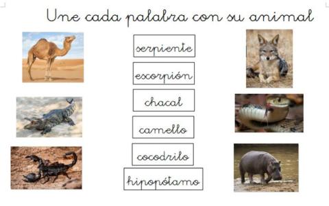 Unir nombre y animal Egipto