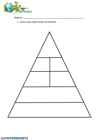 Pirámide alimenticia