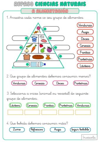 Repaso Pirámide alimenticia