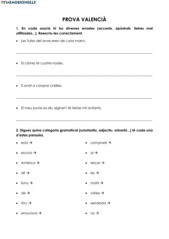 Categories gramaticals + ORTOGRAFIA