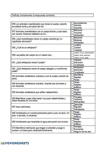 Animales vertrbrados e invertebrados