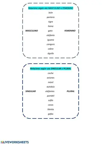SINGULAR-PLURAL y MASCULINO-FEMENINO