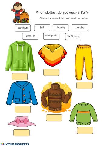What clothes do you wear in fall?