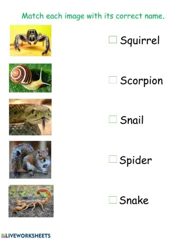 Animals with S