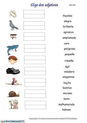 Escribe dos adjetivos