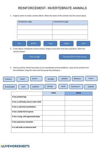 Invertebrate animals
