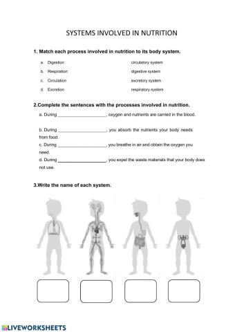 Systems involved in nutrition