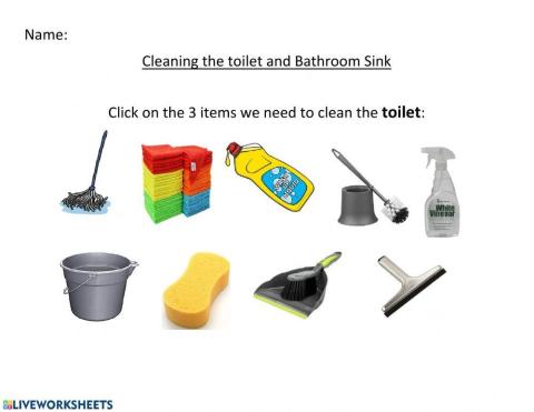 Cleaning Toilet and Bathroom Sink