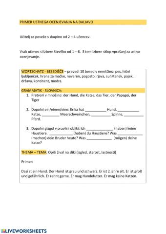 Tiere - mündliche Prüfung