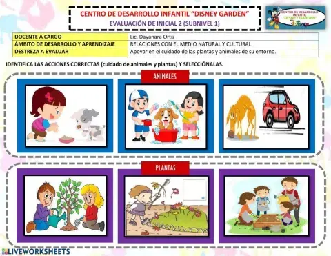 Acciones correctas para el cuidado de las plantas y animales.