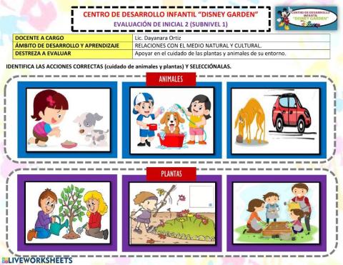 Acciones correctas para el cuidado de las plantas y animales.