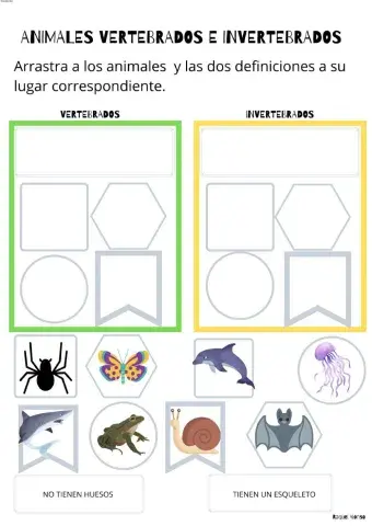 Animales vertebrados e invertebrados