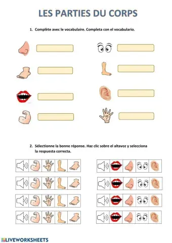 Les parties du corps