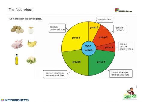 The food wheel