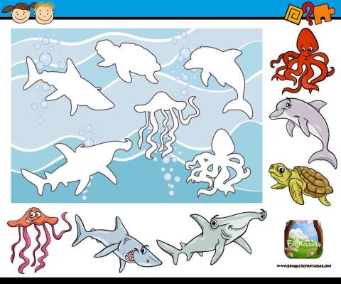 Asocia animales marinos