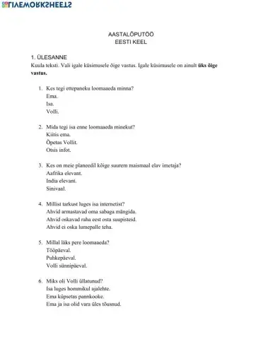 Aastalõputöö 3. klass