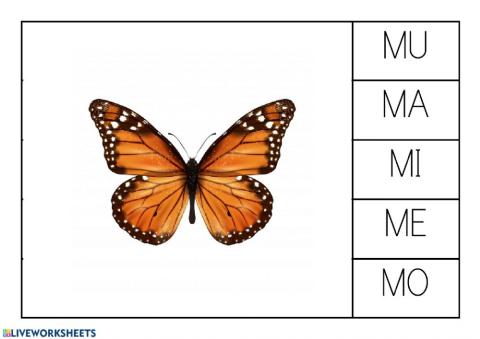 Ma-me-mi-mo-mu