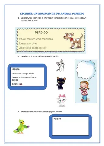 Anuncio animal perdido