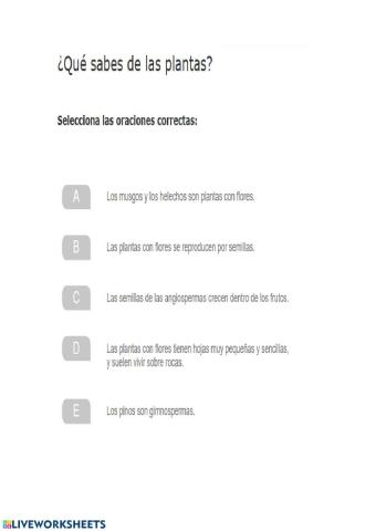 Qué sabes de las plantas