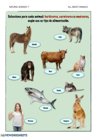 Animals can be herbivores, carnivores or omnivores