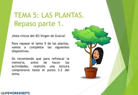 Las plantas 