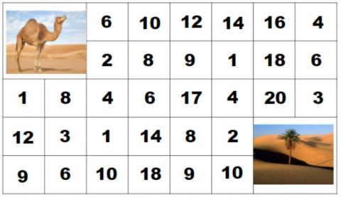 Camello-palmera 2 en 2 hasta 20