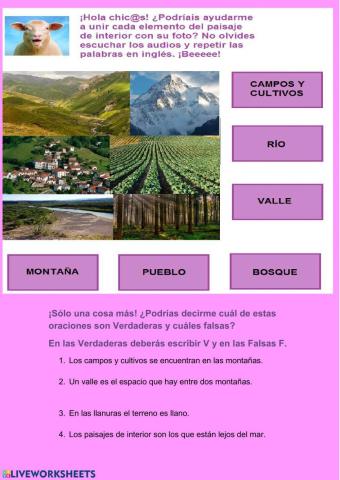 Elementos del paisaje de interior