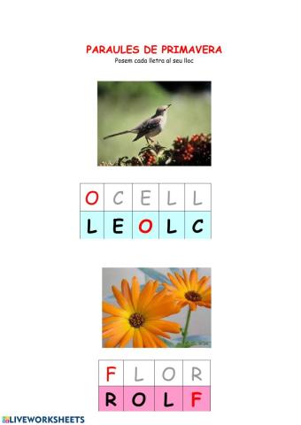 Paraules de la primavera
