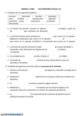 Funciones vitales 1