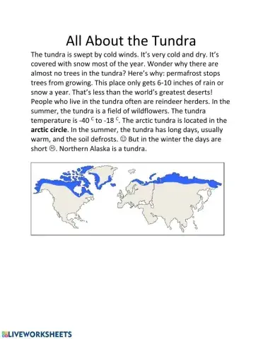 The Tundra Biome