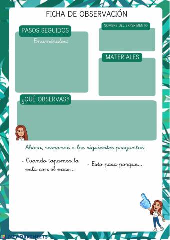 Registro de un experimento 3