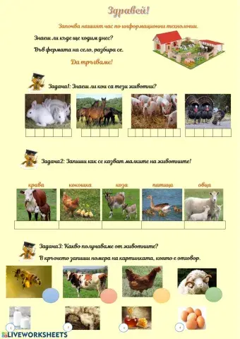 1 клас ИТ - Въвеждане на букви и думи