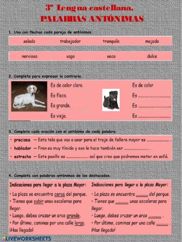 Palabras antónimas.