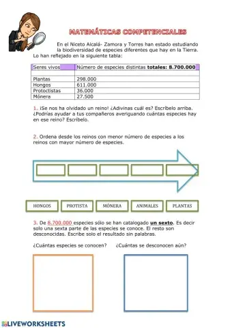 Matemáticas competenciales