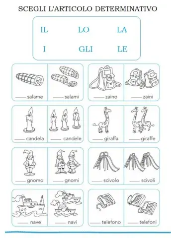 Articoli determinativi (singolari-plurali)
