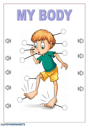 My body